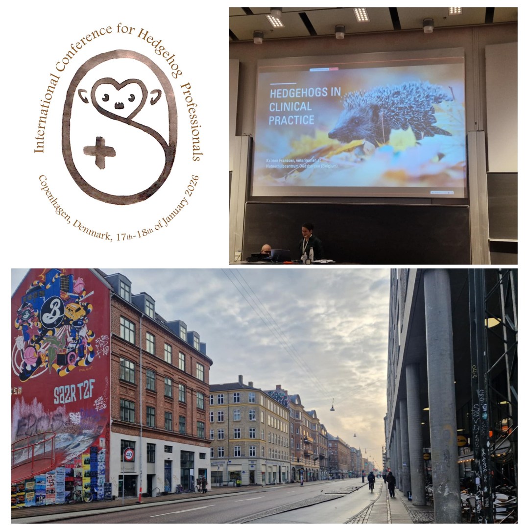 
17–18 stycznia pracownicy naszego Ośrodka Rehabilitacji Zwierząt wzięli udział w International Co…